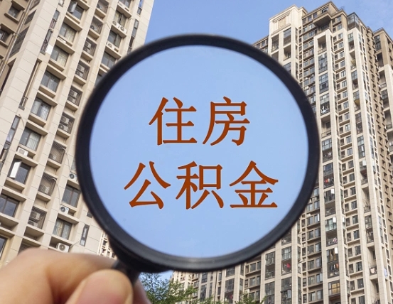 高唐退休后查不到公积金明细了吗（退休后公积金查询不到原因）